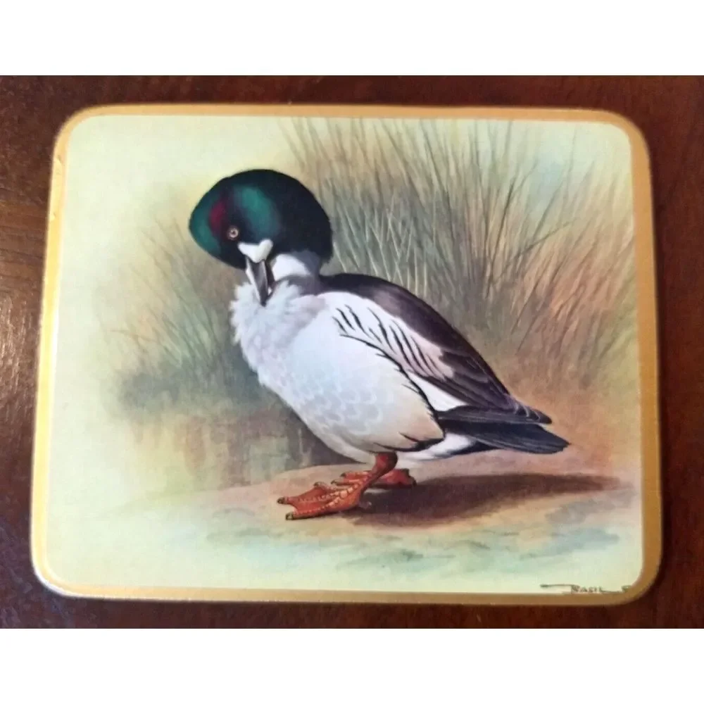 COASTERS Wild Duck Mallard Cork Back Basil Ede England Vintage Set of‎ 4 Barware
